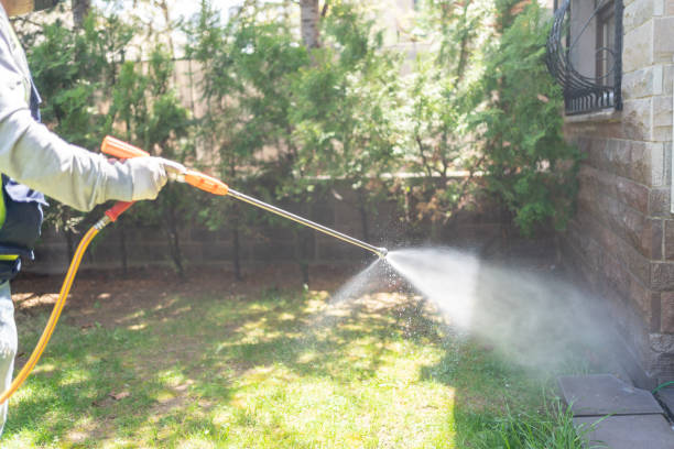 Best Commercial Pest Control Services  in Kingman, AZ